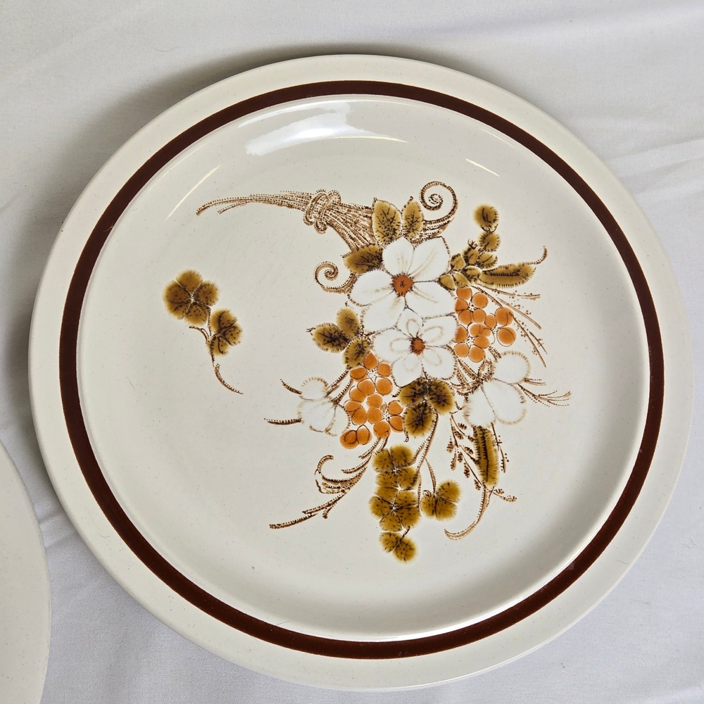 Set of 2 Four Seasons Dinner Plates Autumn Bouquet Stoneware 10.75" Vtg Japan - Picture 8 of 10